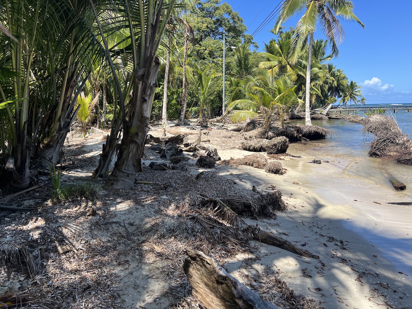 Caranero Island in Bocas del Toro is the Ultimate Island Experience