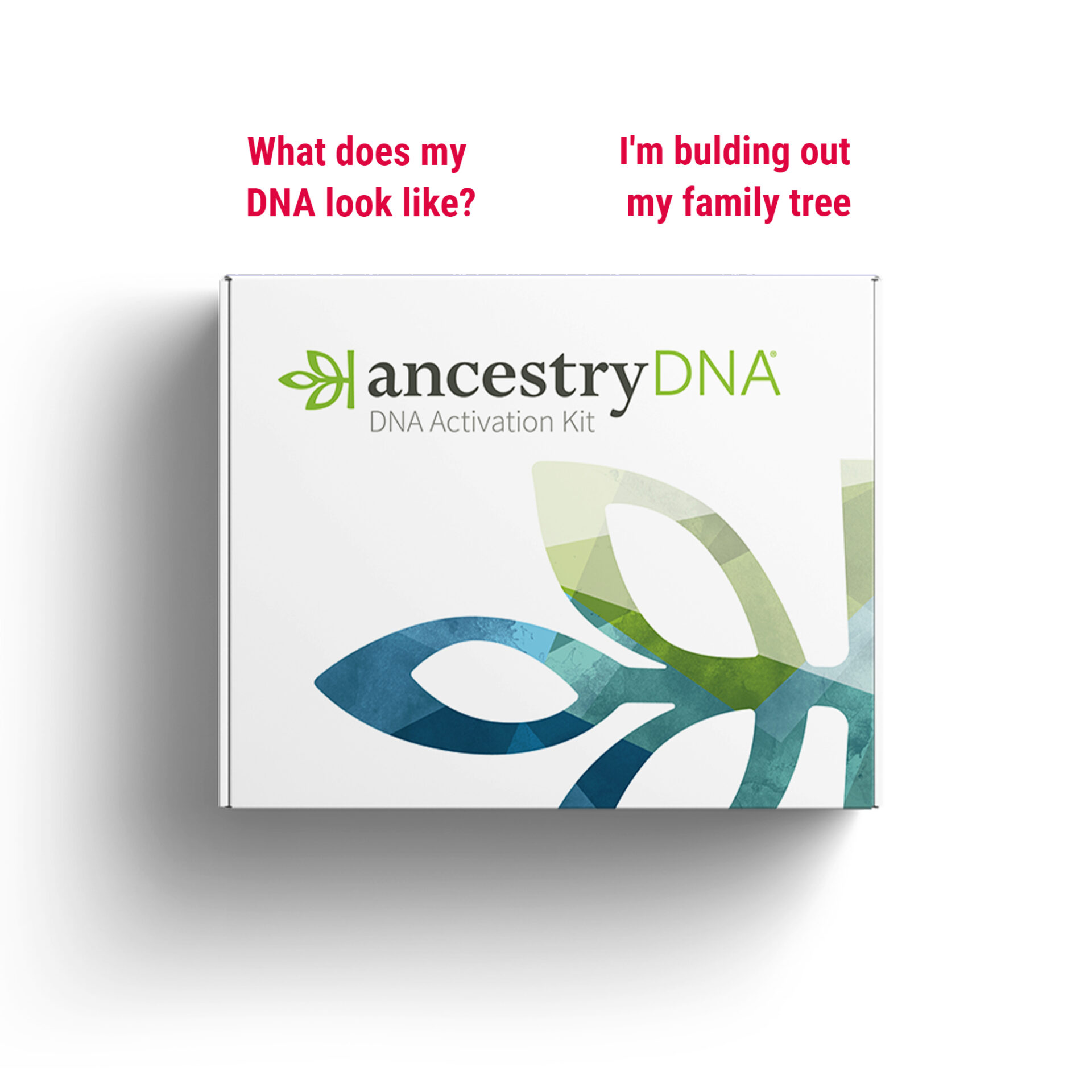 How Ancestry DNA Is Influencing My Trip