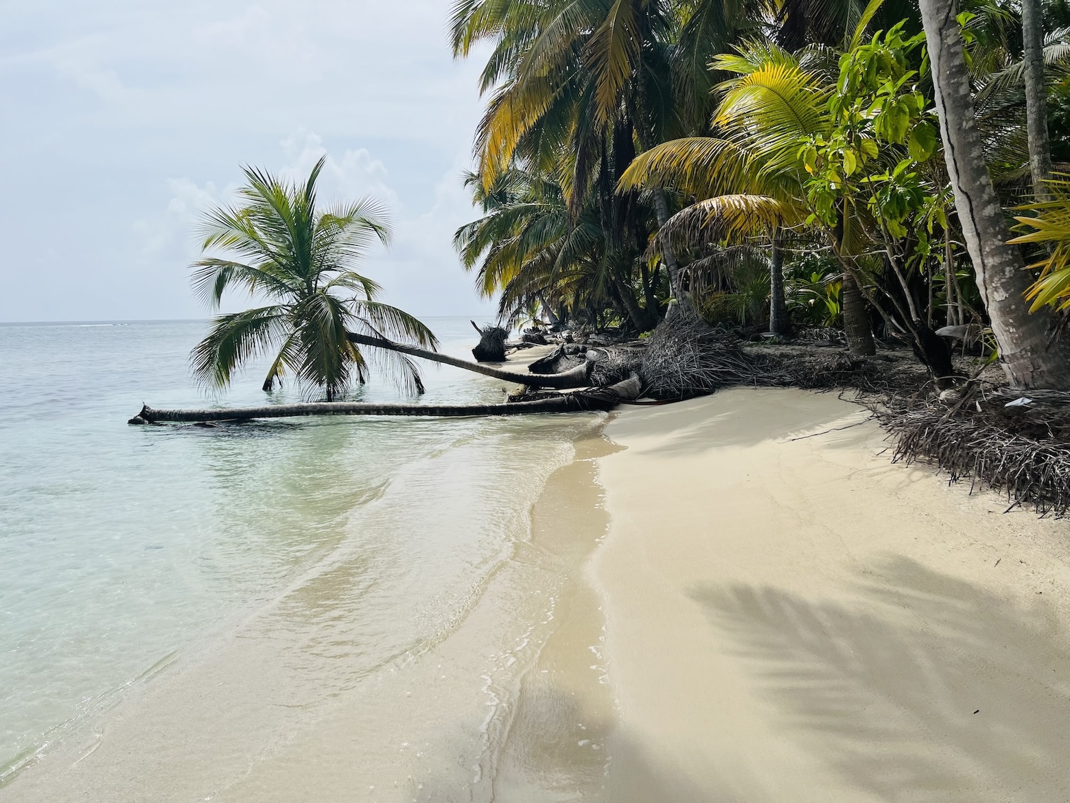 Post card? No just a beautiful beach in the San Blas Islands